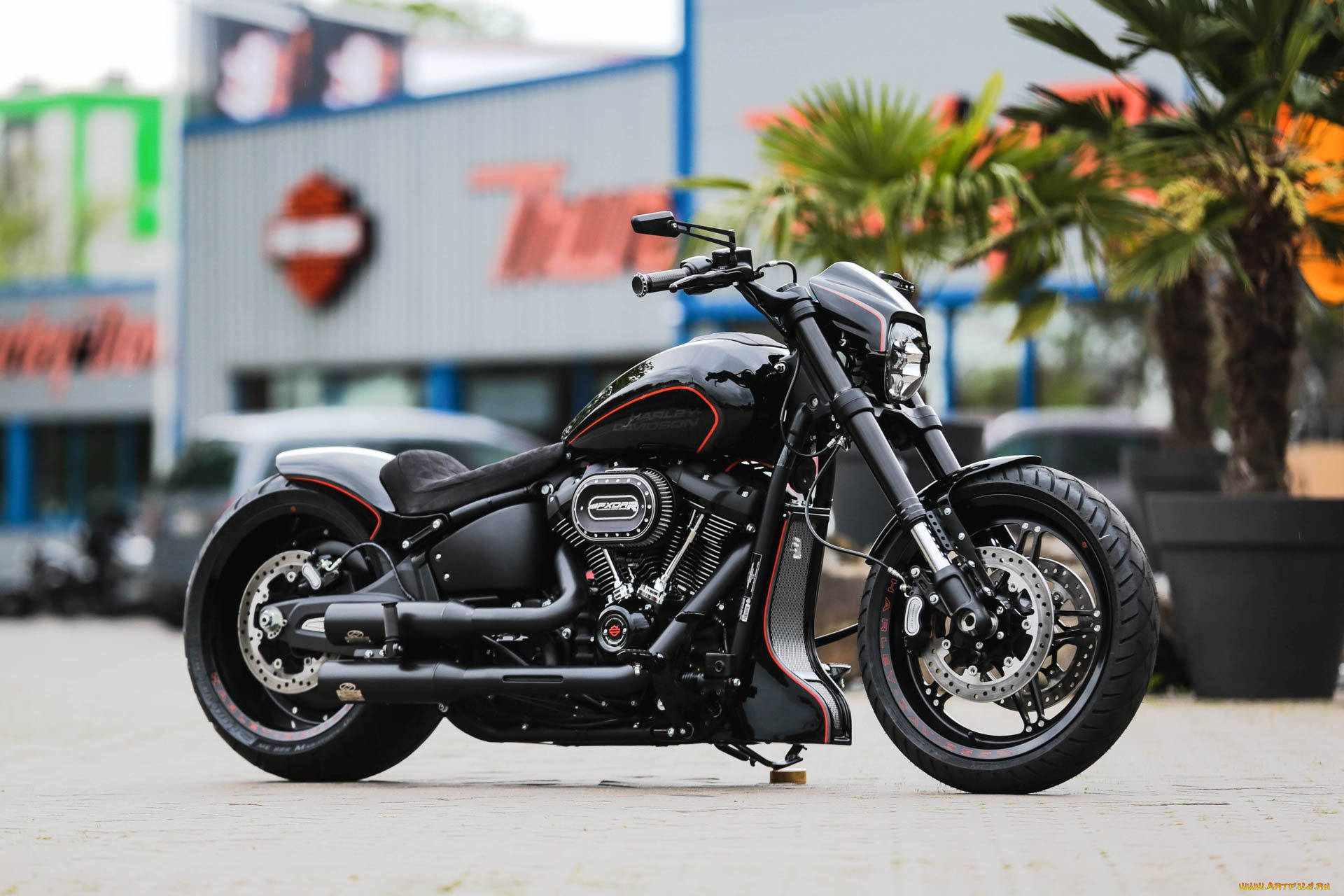 , , harley-davidson, , 
